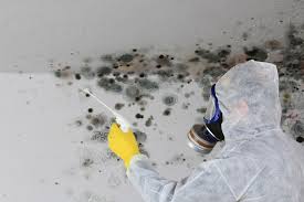 Best Asbestos and Lead Testing During Mold Inspection  in Post, TX